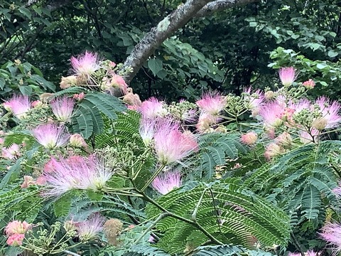 9B47573B-C467-49A7-B405-04D9F06773A5