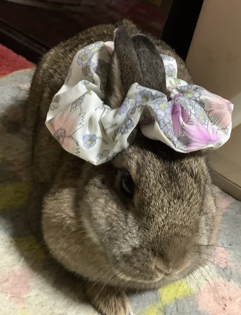 A1990666-3ACB-4144-B072-C5B121FE6B8E