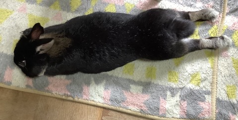 E76B9BBE-525D-4FE9-B91E-1038F519A3C9