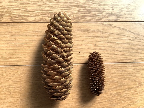 E8C44A33-5941-43A3-B705-4B292B0ED2F4