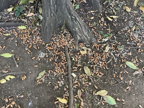 94A52FB3-276B-4055-82A2-E7235CDDA049