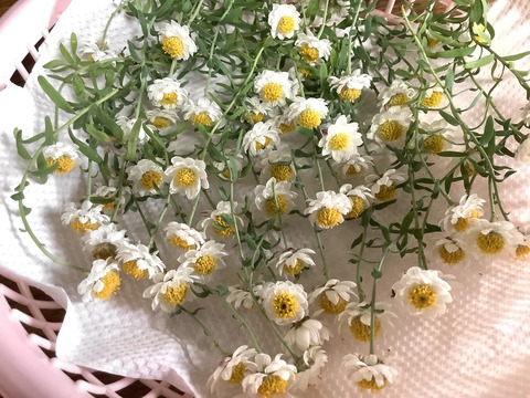 C880487B-2609-4C4A-9C20-71D480C385AF