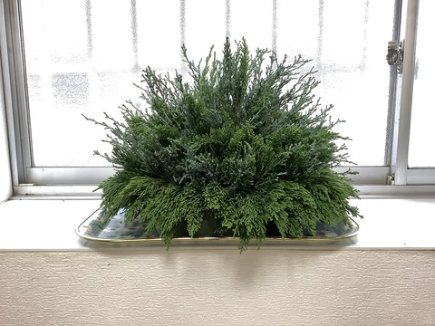 150E3212-06B2-4AF2-87C5-84922F46F39C