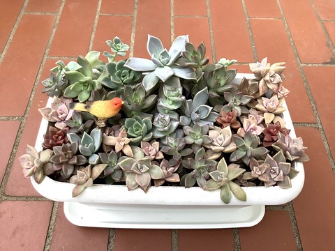 DC023C44-1879-4997-B780-1C2E65AB91DC