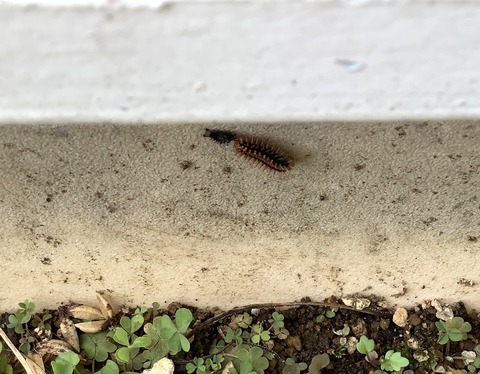 1376A6E4-5513-400E-B2E1-3D0EC885654C