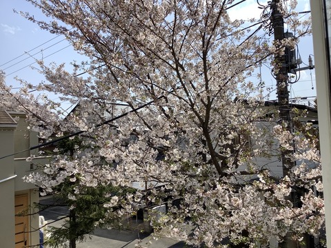 5B112347-B2A9-45E8-B10F-C6F1F0003FEB