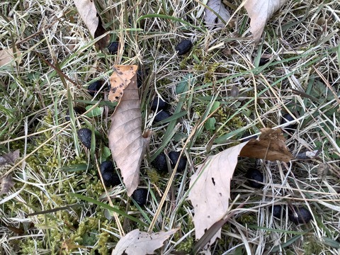 965D2E3C-D499-4760-8D9D-1B4B34B90040