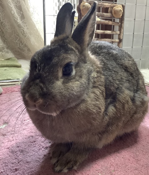 113F923A-4655-4F1A-8C66-EEBDE23507DF