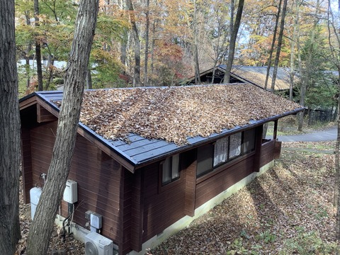 E64099A3-5F49-4AA0-9A3E-ED4659E19C69