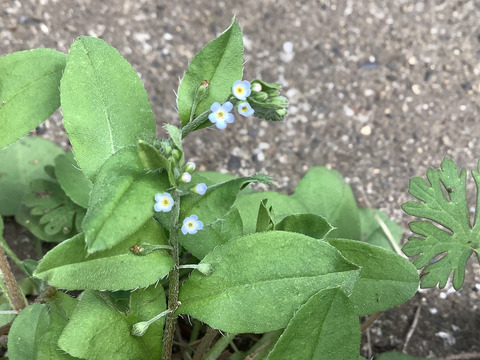 E928A47E-8006-4EA2-9A72-5CAAB7C0E44C