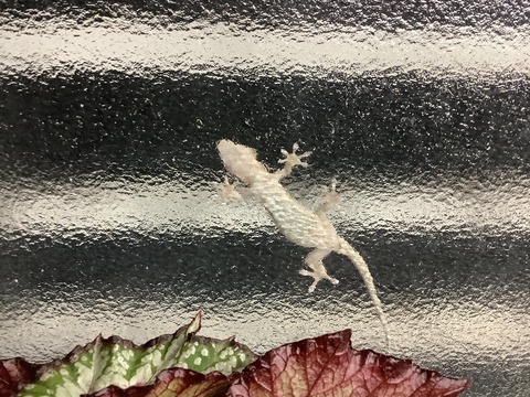 962A319F-50DA-4B60-BDD5-4918FC305016