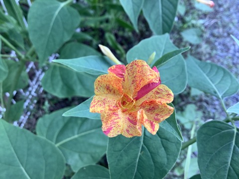 AE3C4715-D04E-440B-AC62-BD97C22455E7