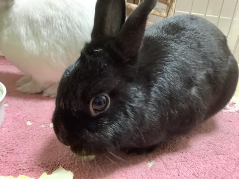 F047B572-9082-4A8B-A560-3D0FCA1F9EF4