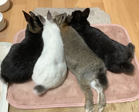 D7C4F89B-7A6D-454A-83B5-1BE030C1FCBD