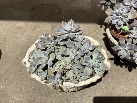 9DB2E49C-13FD-42F7-B55D-670882FD089C