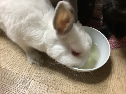 1A3D7B6F-1CEC-4F45-81C1-882C69DBEC6A