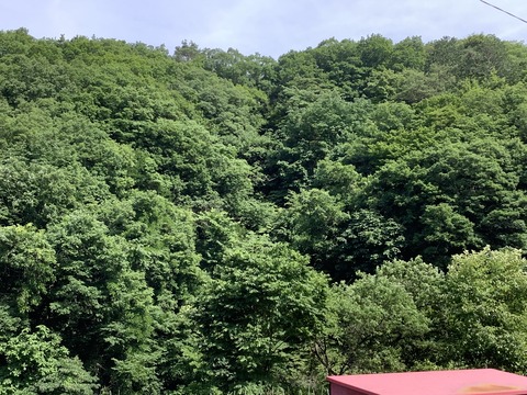 0BC3B0D7-5798-4275-9039-FAE184866E2E