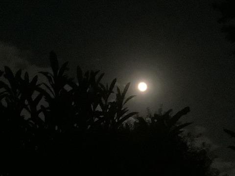 F41DAF14-67AF-4005-B784-F44428494ACE