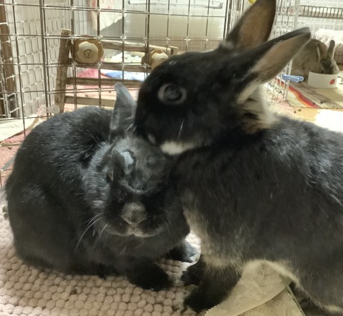 6437A4F9-365A-4B40-AB02-CAD4CFEE3742