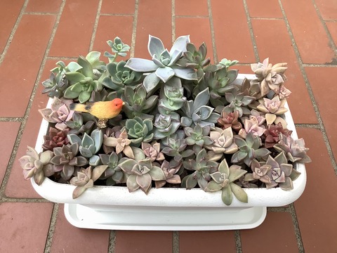 2AD8DC8F-00B6-4E36-B9BF-1B676404D600