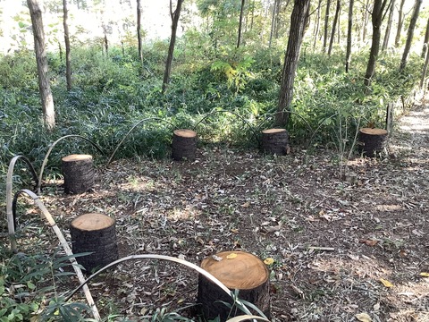 382970BE-675B-475E-A6F4-ED375EDA6000