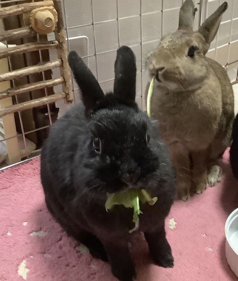 7998249E-4977-41DA-8815-8B569BB8C792