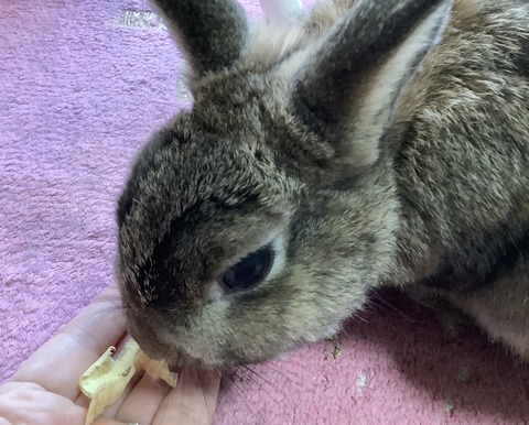 4D436B2F-8E86-4F27-851B-ACE25B0BDFB7