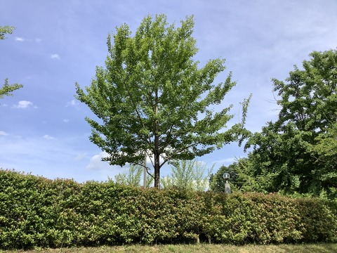 C4D01B11-9951-4623-BEE6-1436C5DD2B70