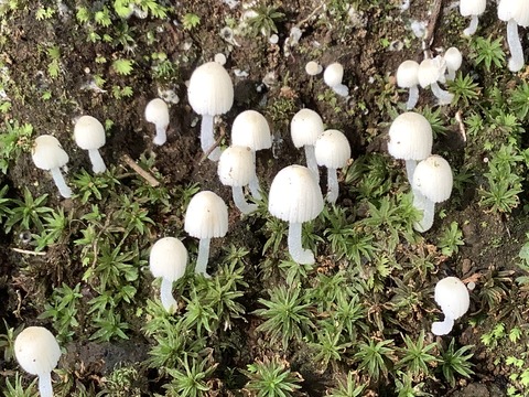 49EA70BE-6400-4042-8BEC-791F13767C4D