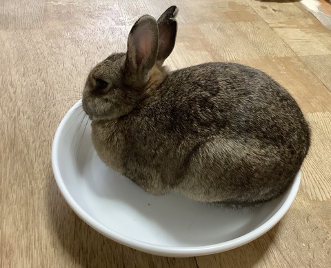 7DF3DCCF-C2BB-463F-8422-37728E2DA52E