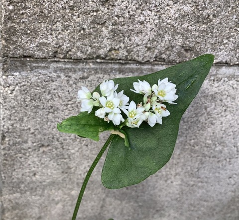 0CBC4E16-3952-4576-8DB3-DBD790BE2112