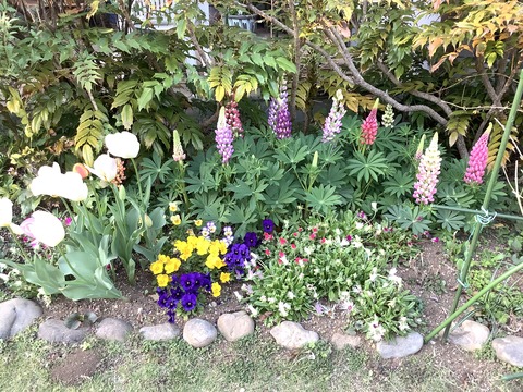 C6975520-5597-41AA-B77D-A61B0844BA84