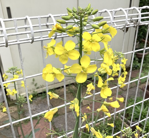 ECEF8916-C448-4DC7-A400-530F585768B0