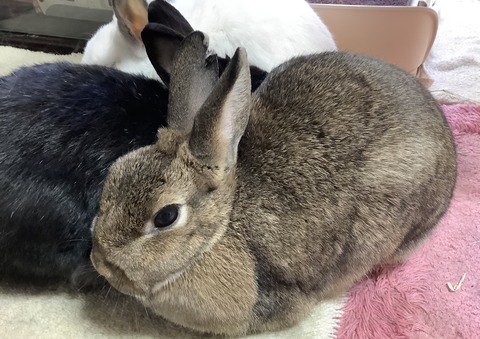 1F241F9A-71B8-42B7-AE55-E933DD2D50E9