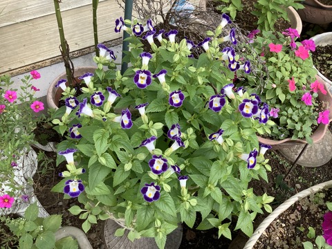 3CE866EF-8172-4AA5-8F58-E5994869680B