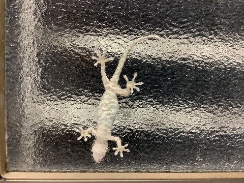 0163D051-9301-4AB0-AEFA-6FF1E4C18576