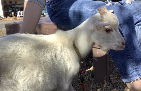 F3B7CA00-87FA-4407-BC2F-E3B098A608F9