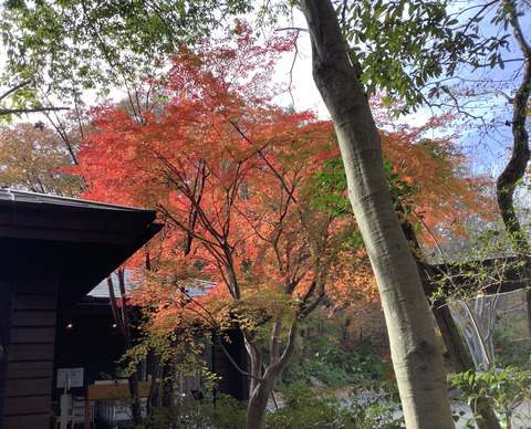 31AF943D-4A87-4B2C-809C-ED13860F0320