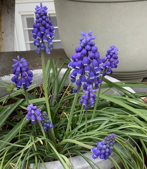 45F0E3FC-CB1A-4F67-BD3F-23BFB276A0DD