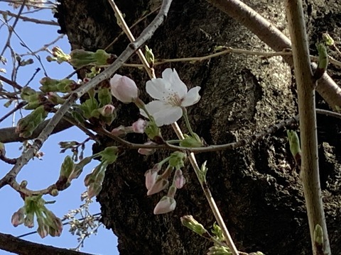 9368C8AC-9FA9-4627-B370-1B3D85524C28