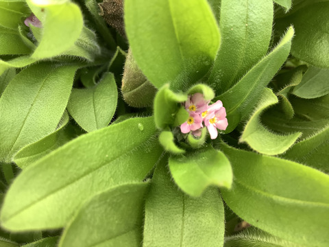 FA0BE29E-7350-4C9E-A811-98A2985EE855