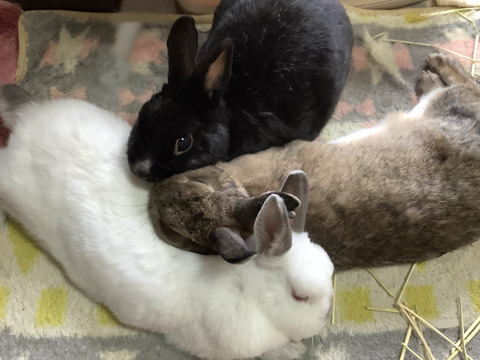 2278AB35-D7AD-4042-B7C1-BEC205AC1178