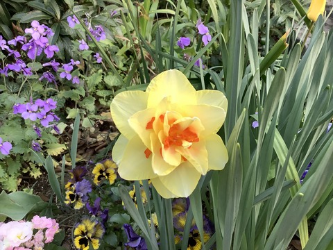 593F2FC7-2670-4D5F-BDC2-6BE7A7AB14CB