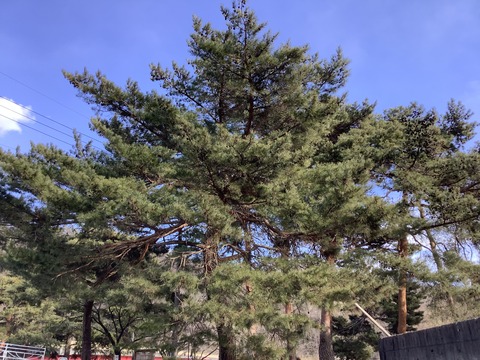 A9D874F3-9E96-4FD7-8890-EAE42E575F7A