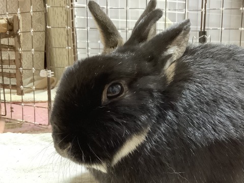 8FE4CB08-4738-45DF-9966-F9840FE73971