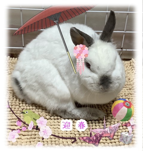 BA1C343A-00D6-4F09-BDDC-4A14FBEFBE61