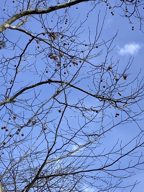 E7C82CDA-6BE8-4C9F-A11D-B478EB2EC8C6