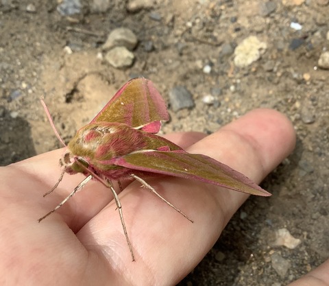 DD96043B-935A-4810-9570-066DDD0D345B