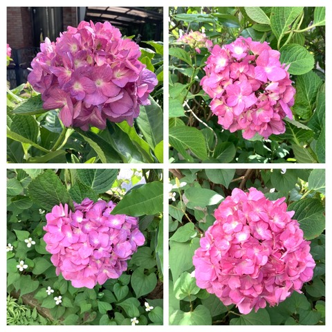 55DE0BB5-8673-4F47-9DB4-76B3836D4ACB