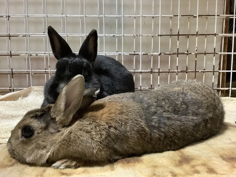 09FC7CB6-F447-4E91-8AA1-0E5A999DF034